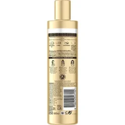 PANTENE Champú Miracle Repara & Protege* Hidratantes Faciales